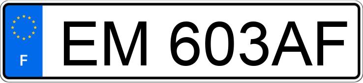 Numer rejestracyjny EM603AF posiada PEUGEOT 307