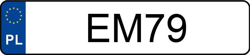 Numer rejestracyjny EM 79 posiada MERCEDES-BENZ E 420 Kat. 124 E 420 - EM79