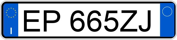 Numer rejestracyjny EP665ZJ posiada FIAT 500L