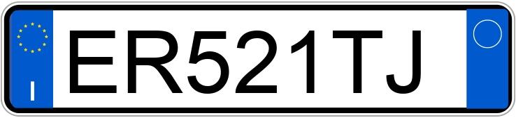 Numer rejestracyjny ER521TJ posiada FIAT QUBO