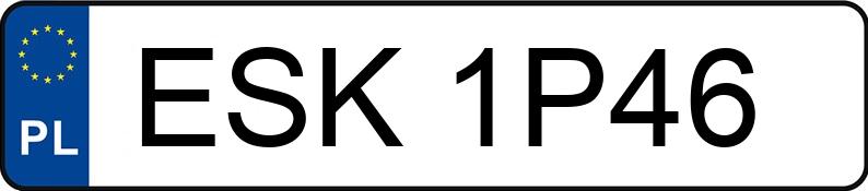 Numer rejestracyjny ESK 1P46 posiada BMW 318I - ESK1P46
