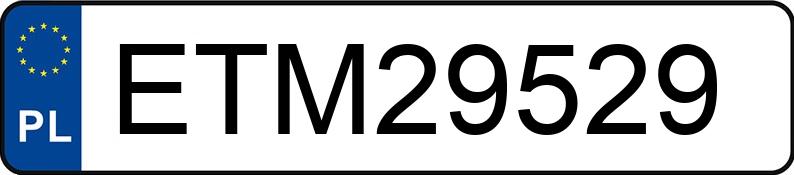 Numer rejestracyjny ETM 29529 posiada FIAT SCUDO - ETM29529