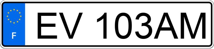 Numer rejestracyjny EV103AM posiada FORD TRANSIT CUSTOM