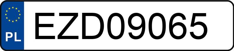 Numer rejestracyjny EZD 09065 posiada PEUGEOT 2008 II 1.2 MR`20 E6d Active Pack S&S EAT - EZD09065