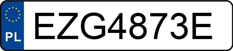 Numer rejestracyjny EZG 4873E posiada FORD FUSION - EZG4873E