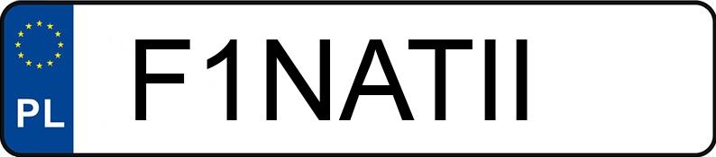 Numer rejestracyjny F1NATII posiada SEAT IBIZA