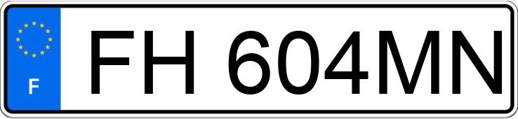 Numer rejestracyjny FH604MN posiada RENAULT ZOE