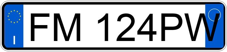 Numer rejestracyjny FM124PW posiada FIAT Punto 4a serie