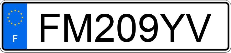 Numer rejestracyjny FM209YV posiada RENAULT KANGOO EXPRESS II