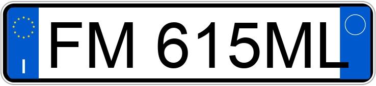 Numer rejestracyjny FM615ML posiada RENAULT Kadjar