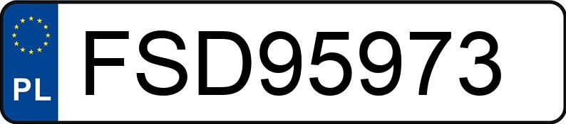 Numer rejestracyjny FSD 95973 posiada RENAULT CLIO - FSD95973