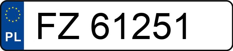 Numer rejestracyjny FZ 61251 posiada RENAULT ESPACE - FZ61251