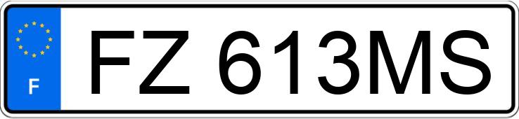 Numer rejestracyjny FZ613MS posiada PEUGEOT 3008