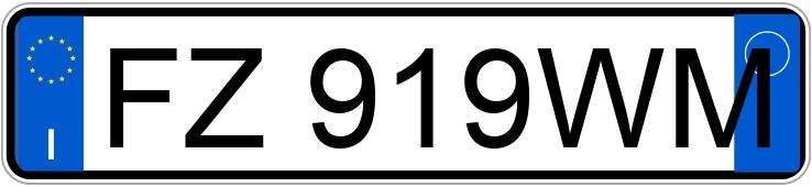 Numer rejestracyjny FZ919WM posiada BMW X1