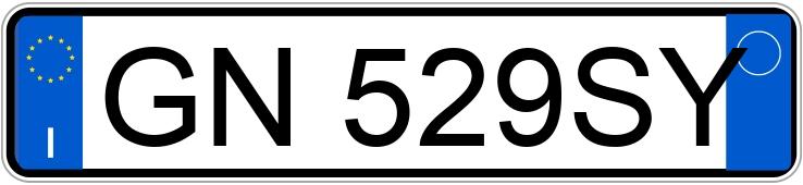 Numer rejestracyjny GN529SY posiada FIAT Scudo