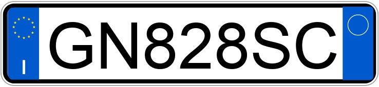 Numer rejestracyjny GN828SC posiada RENAULT Austral