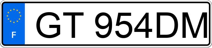 Numer rejestracyjny GT954DM posiada PEUGEOT TRAVELLER