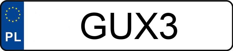 Numer rejestracyjny GUX 3 posiada DODGE RAM 1500 - GUX3