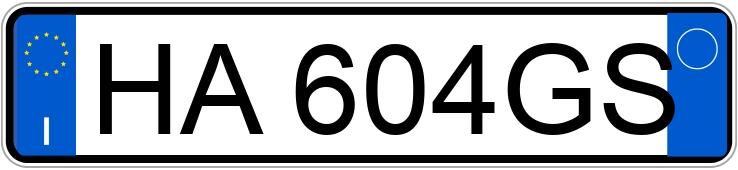 Numer rejestracyjny HA604GS posiada SWM G01 Pro