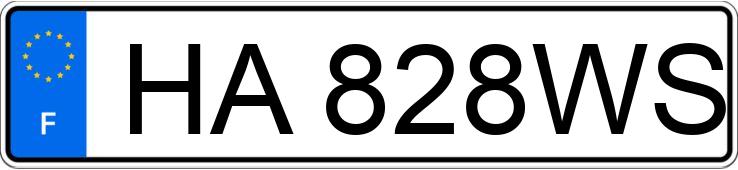 Numer rejestracyjny HA828WS posiada RENAULT MEGANE V