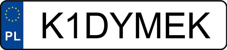 Numer rejestracyjny K1DYMEK posiada BMW Naked Bike od 600 ccm S 1000 R