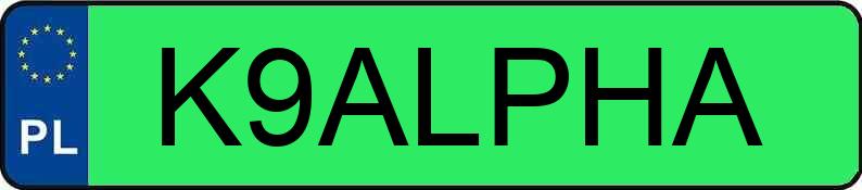 Numer rejestracyjny K9ALPHA posiada PORSCHE TAYCAN 4S