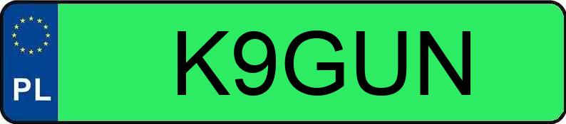 Numer rejestracyjny K9GUN posiada TESLA 
