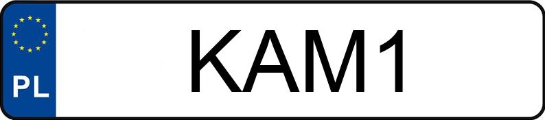 Numer rejestracyjny KAM 1 posiada DODGE Grand Caravan 3.6 Kat. MR`11 - KAM1