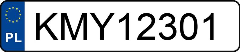 Numer rejestracyjny KMY 12301 posiada VOLKSWAGEN POLO - KMY12301