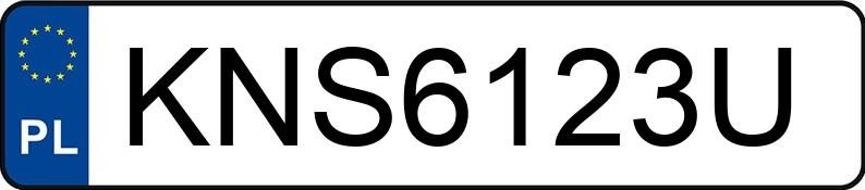 Numer rejestracyjny KNS 6123U posiada BMW 330D XDRIVE - KNS6123U