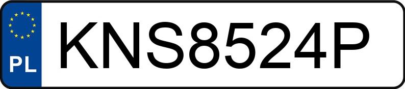 Numer rejestracyjny KNS8524P posiada FORD Mustang 2.3 EcoBoost MR`15 E6 Mustang 2.3 EcoBoost MR`15 E6