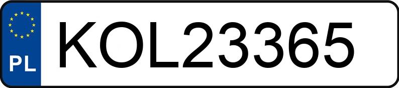 Numer rejestracyjny KOL 23365 posiada FIAT PUNTO VAN 199 - KOL23365