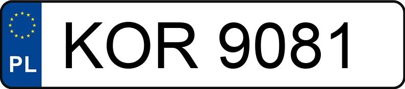 Numer rejestracyjny KOR 9081 posiada FORD (USA) Aerostar 3.0 Kat. 2.3t Aerostar 3.0 Kat. 2.3t - KOR9081