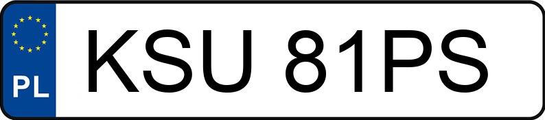 Numer rejestracyjny KSU 81PS posiada PALMET P3H1 - KSU81PS