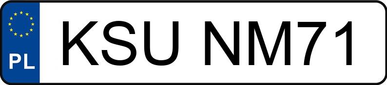 Numer rejestracyjny KSU NM71 posiada OPEL VIVARO - KSUNM71
