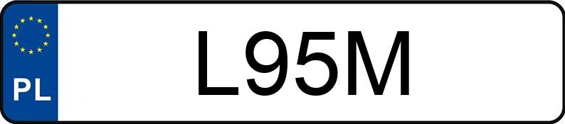 Numer rejestracyjny L95M posiada FORD Mustang 2.3 EcoBoost MR`15 E6 Mustang 2.3 EcoBoost MR`15 E6