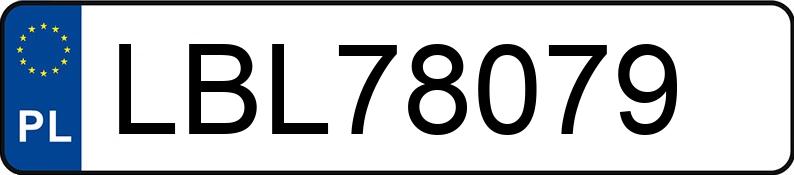 Numer rejestracyjny LBL 78079 posiada OPEL VIVARO - LBL78079
