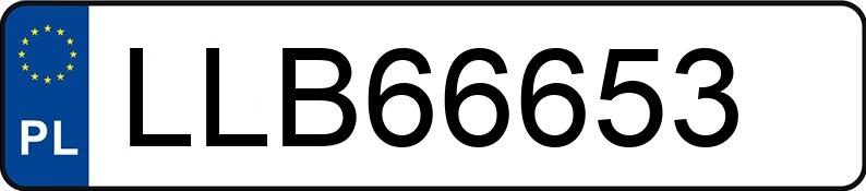 Numer rejestracyjny LLB 66653 posiada AUDI A4 Avant 2.0 FSI Kat. MR`00 E3 8E A4 Avant 2.0 FSI Kat. MR`00 E3 8E - LLB66653
