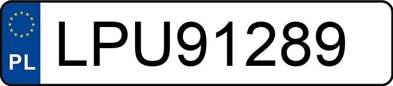 Numer rejestracyjny LPU 91289 posiada PEUGEOT 206 2.0 KAT - LPU91289