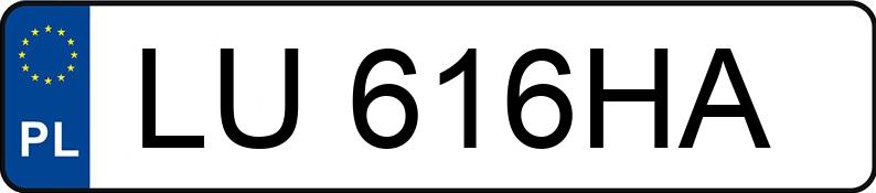 Numer rejestracyjny LU 616HA posiada VOLKSWAGEN NEW BEETLE - LU616HA