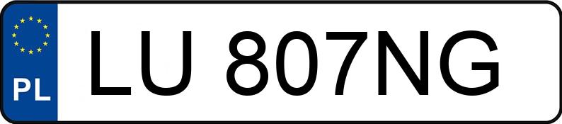 Numer rejestracyjny LU 807NG posiada SEAT IBIZA - LU807NG