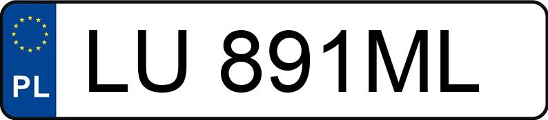 Numer rejestracyjny LU 891ML posiada FIAT DUCATO 250 - LU891ML