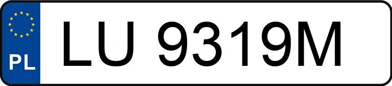 Numer rejestracyjny LU 9319M posiada FIAT  - LU9319M