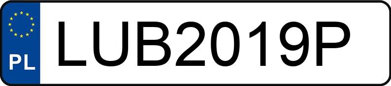 Numer rejestracyjny LUB 2019P posiada LEXUS ES300H - LUB2019P