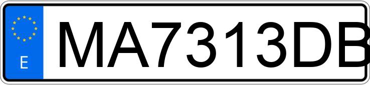 Numer rejestracyjny MA7313DB posiada FIAT MULTIPLA