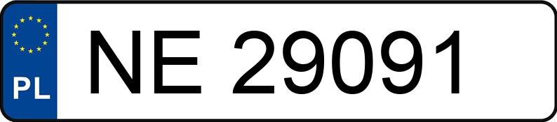 Numer rejestracyjny NE 29091 posiada SKODA FABIA - NE29091