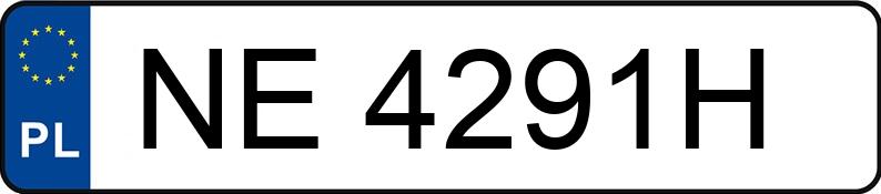 Numer rejestracyjny NE 4291H posiada VOLKSWAGEN TIGUAN - NE4291H