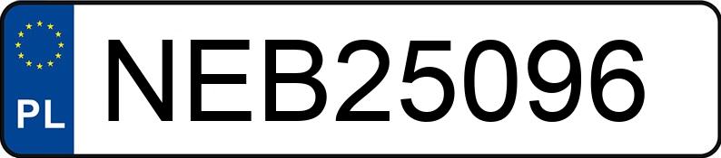 Numer rejestracyjny NEB 25096 posiada VOLVO V50 - NEB25096