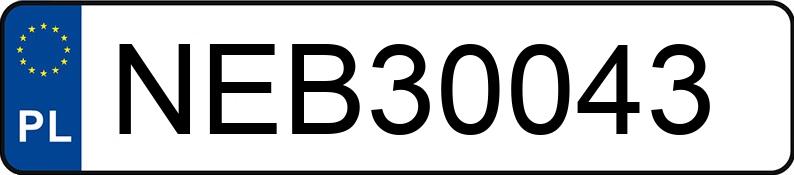 Numer rejestracyjny NEB 30043 posiada MERCEDES-BENZ 124 - NEB30043