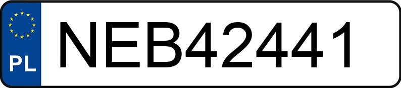 Numer rejestracyjny NEB 42441 posiada PEUGEOT 307 - NEB42441